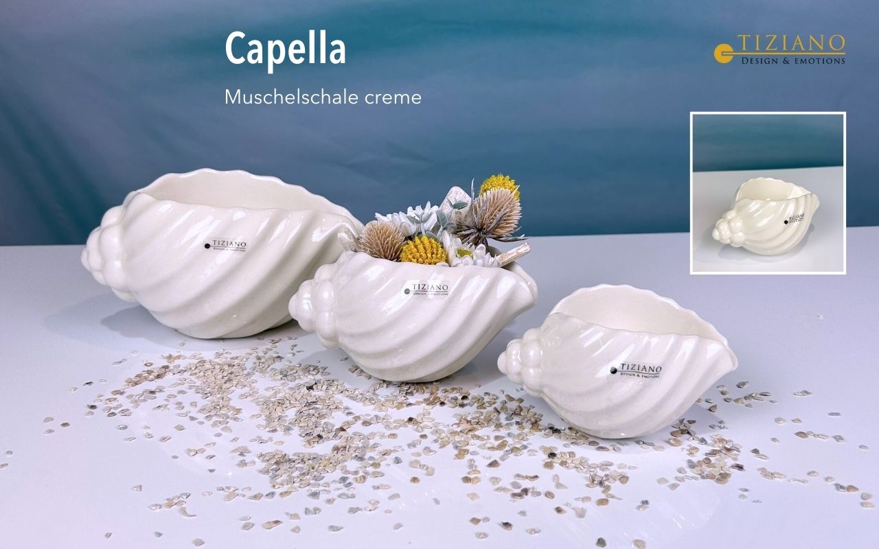 Tiziano Muschelschale Capella creme glänzend