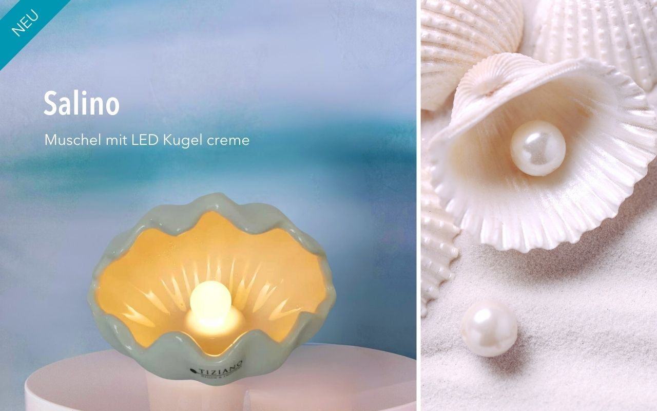 Muschel "Salino" mit LED Kugel